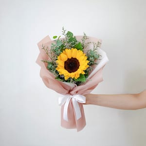 Sunny Bundle
