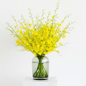 Oncidium En Masse