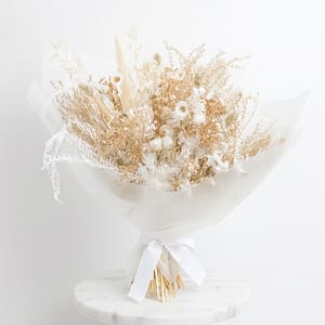 OMAKASE : DRIED & PRESERVED NEUTRALS