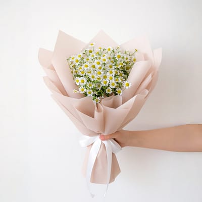 Baby Daisies En Masse